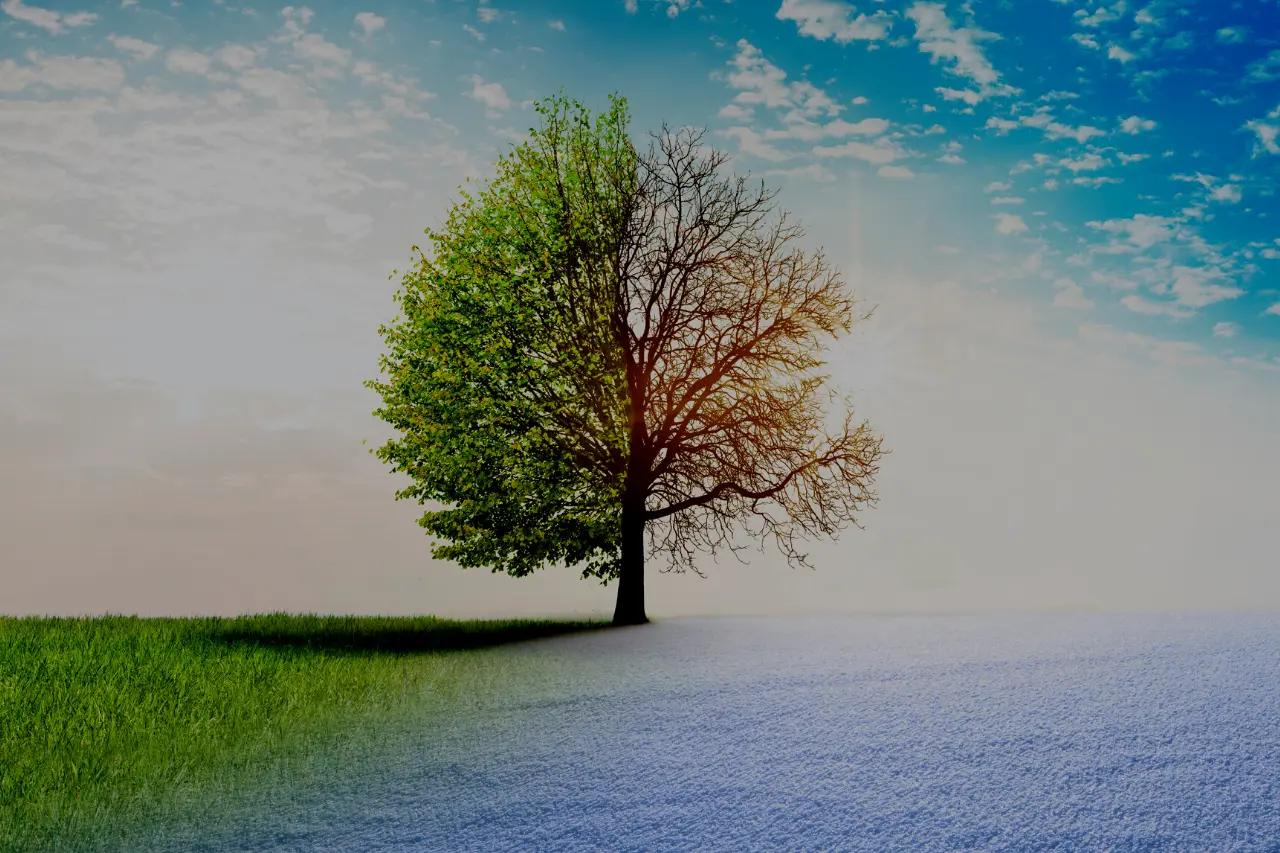 Leaving the Geopolitics and Inflation Focus Behind for H2 [VIDEO]