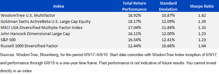 One-Year Performance_WTUSMF
