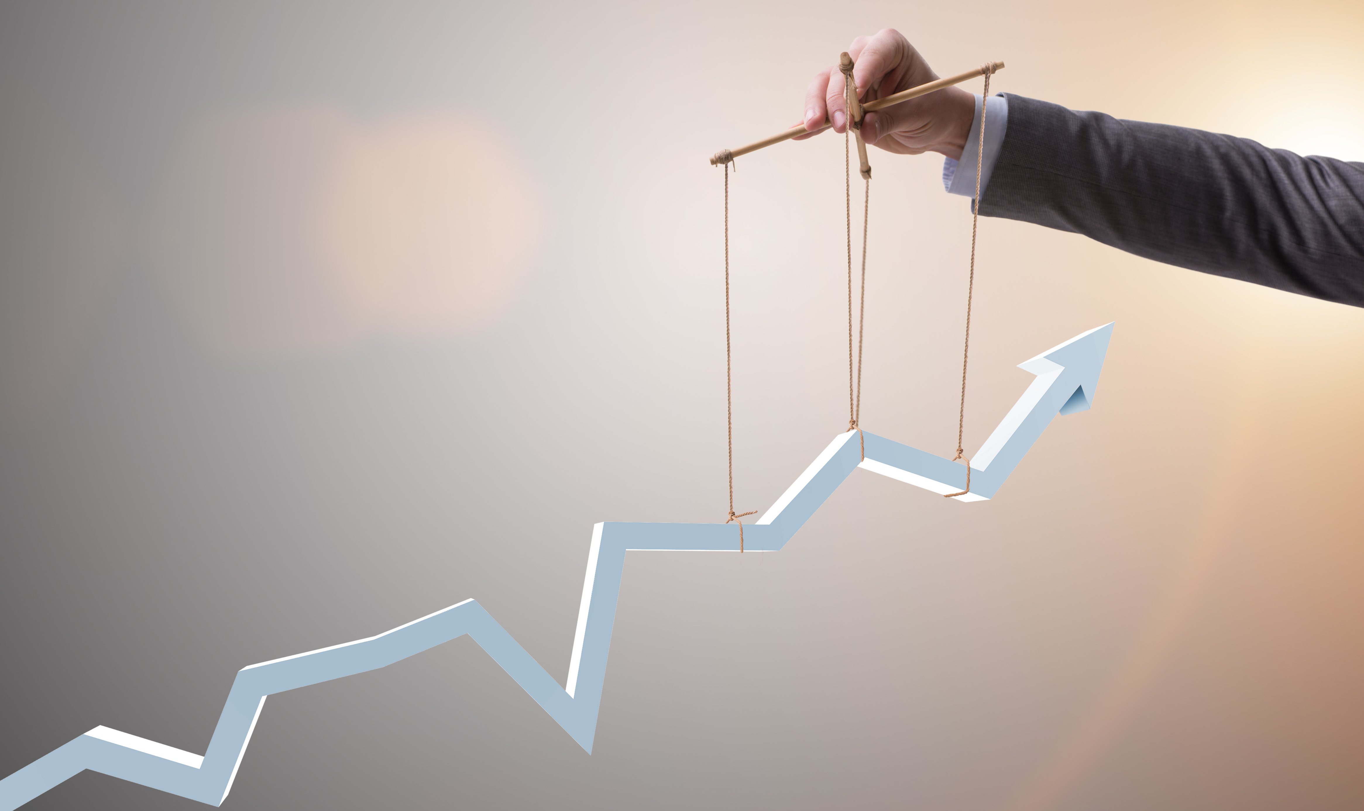 Investment Manager 